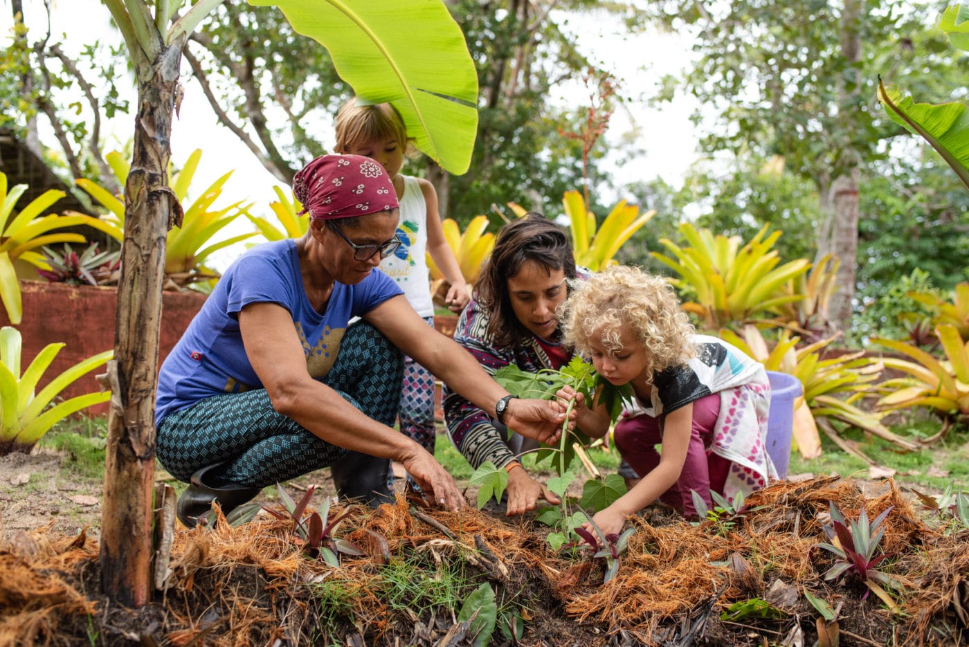 Dona Vera, Maíra e crianças cultivando plantas na Permacultura Inkiri
